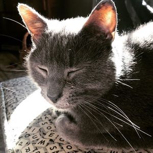 Meet your Posher, Brooke